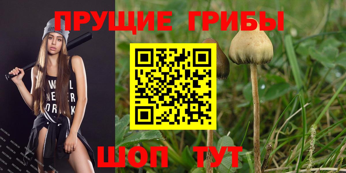 Галлюциногенные грибы Magic Shrooms  Псилоцибиновые грибы Psilocybe  Миллерово  Вход с VPN 
